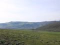 image36