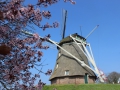 image00006