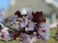 image00007