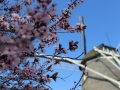image00008