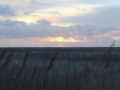 image00011