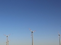 image00012