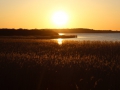 image00013