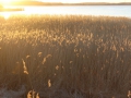 image00014