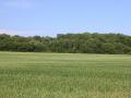 WhatsApp-Image-2023-07-08-at-03.47.47