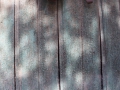 image00005