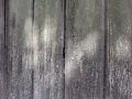 image00006