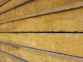 image00015