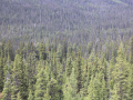 image03