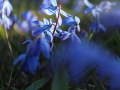 image00003