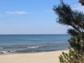 image00004