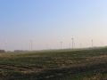 image00006