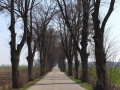 image00010