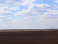 image00001