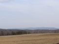 image00005