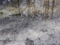 image00006