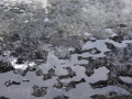 image00007