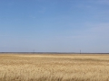 image00001