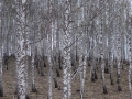 image00002