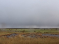 image00007