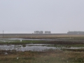 image00008
