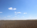 image00009