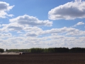 image00010
