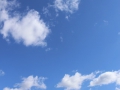 image00011