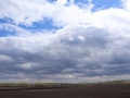 image00006