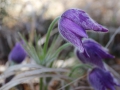 image00039