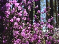 image00041