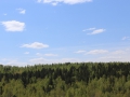 image00050