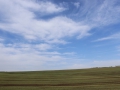 image00051