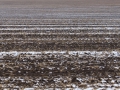 image00053