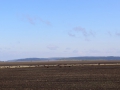 image00054
