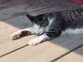 image02