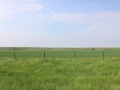 image03