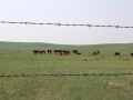 image06