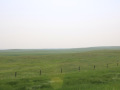 image08